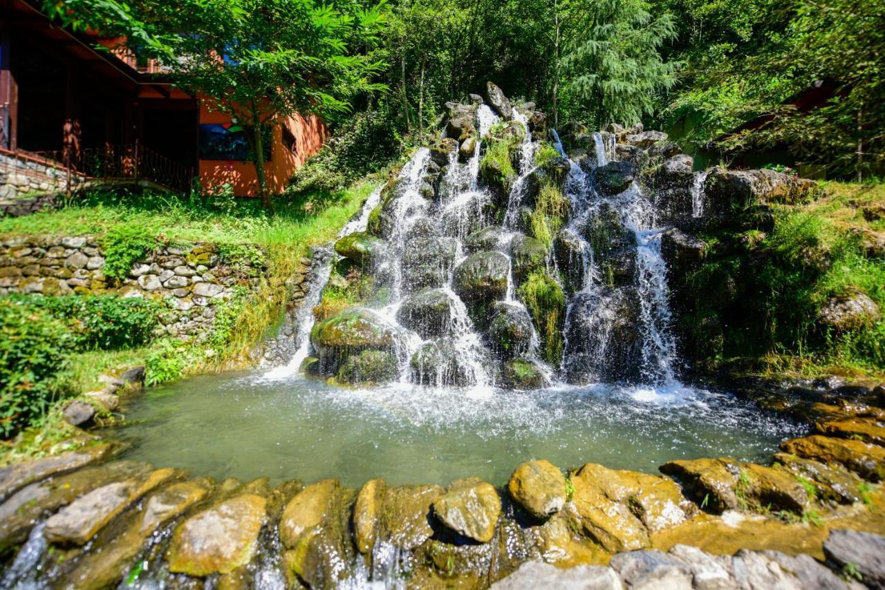 Naturkoy Sapanca Сакария Екстериор снимка