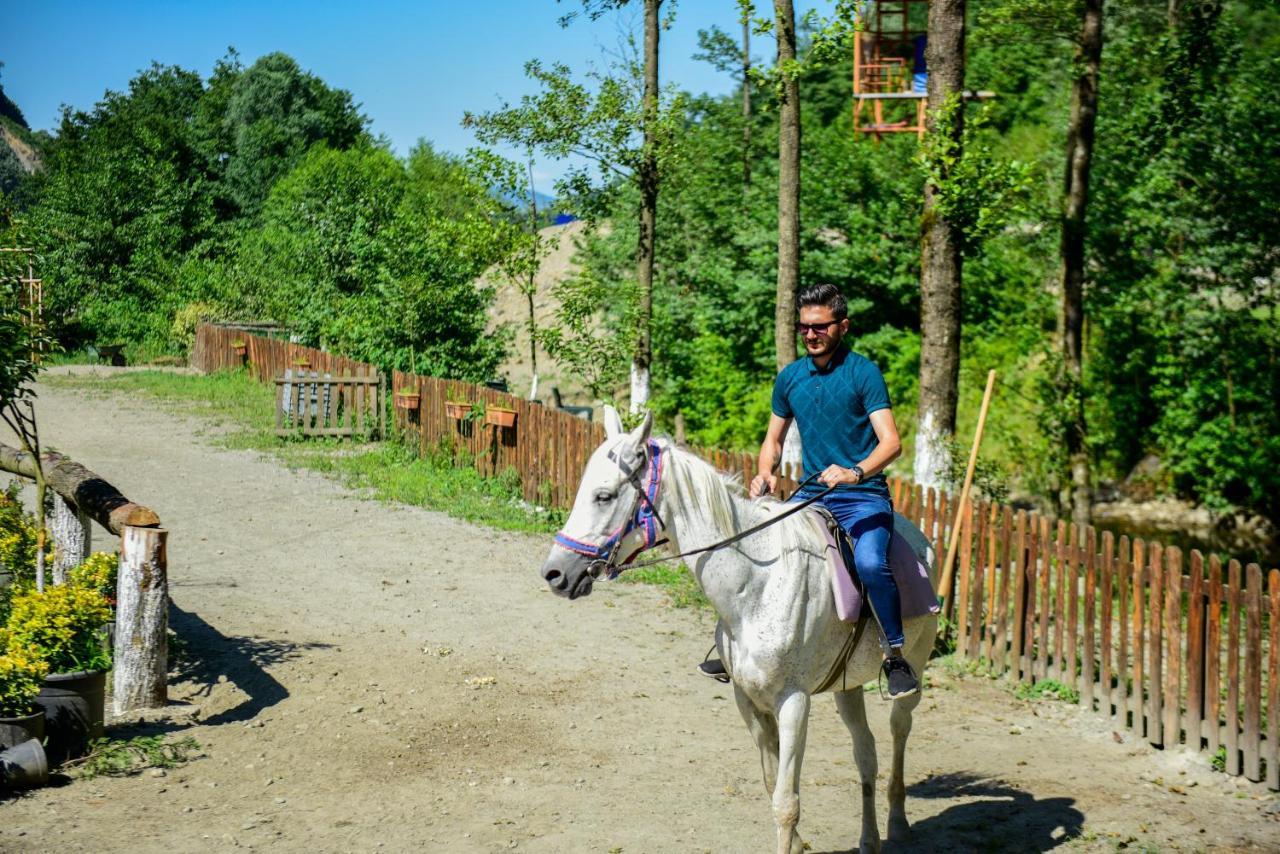 Naturkoy Sapanca Сакария Екстериор снимка